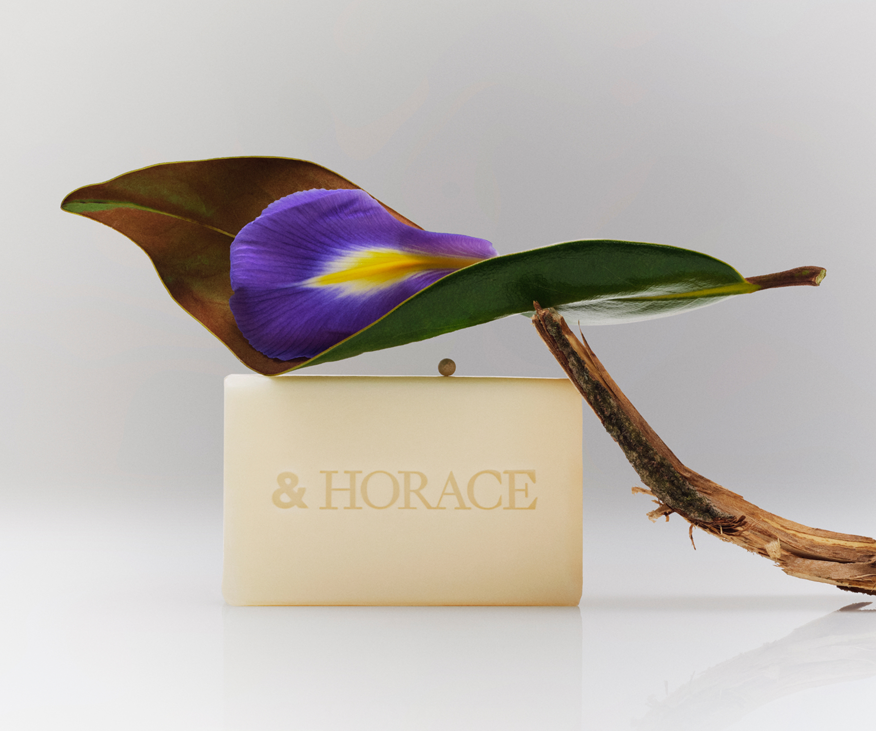 Famille Olfactive_02bis