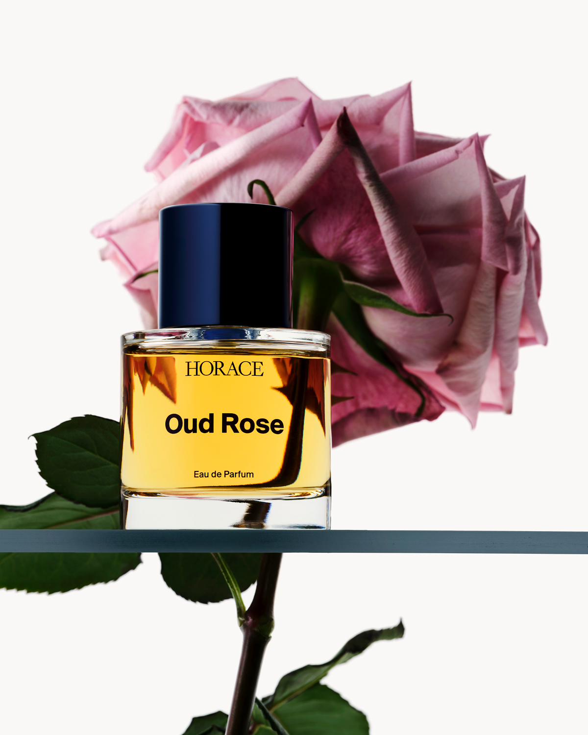 Famille Olfactive_07