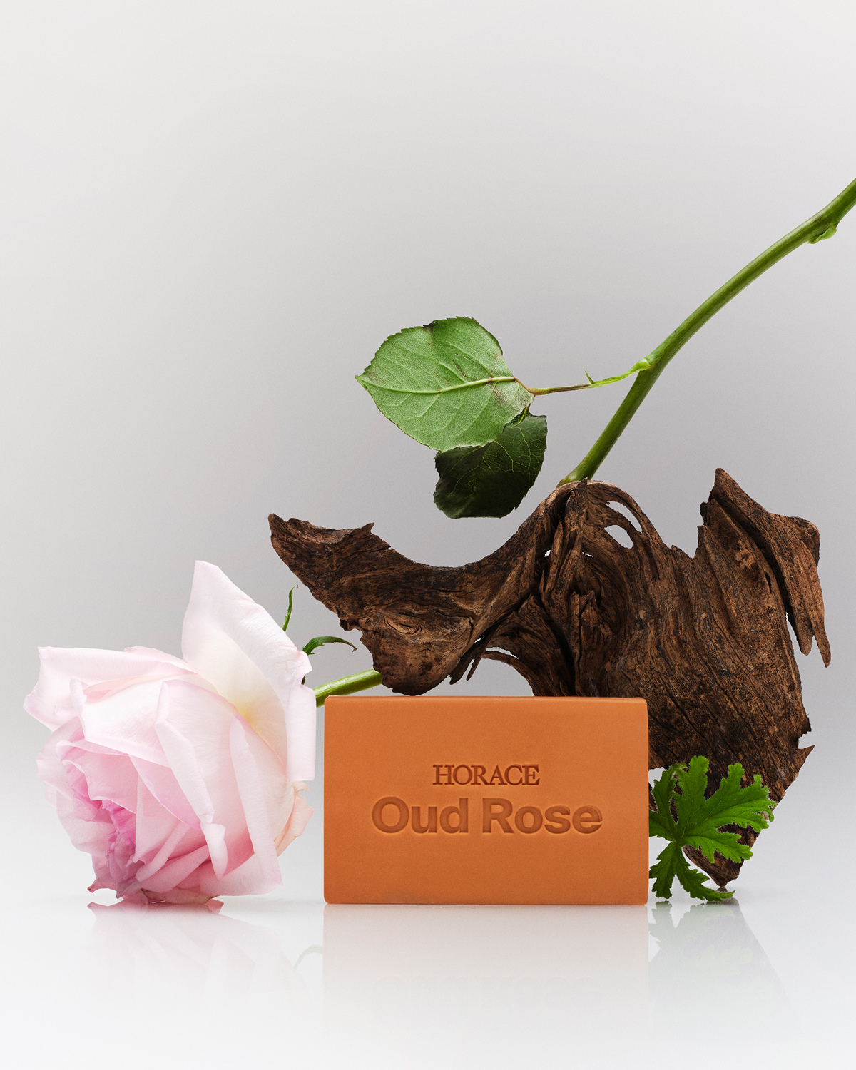 Famille Olfactive_08